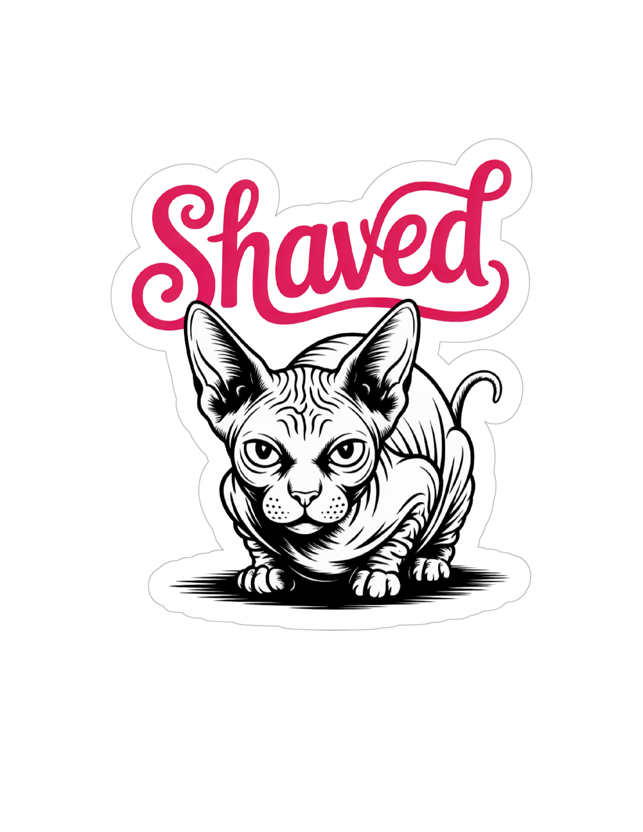 Shaved Kitty - Red accent